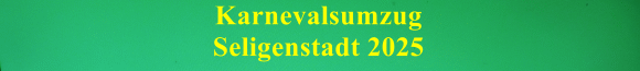 Karnevalsumzug Seligenstadt 2025