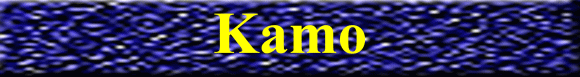 Kamo