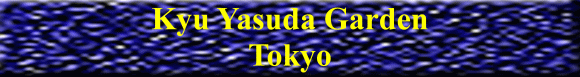 Kyu Yasuda garden Tokyo