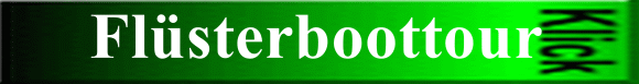 Flüsterboottour