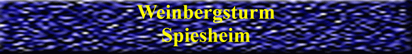 Weinbergsturm Spiesheim