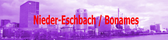 Skyscrapers of Niedereschbach/Bonames